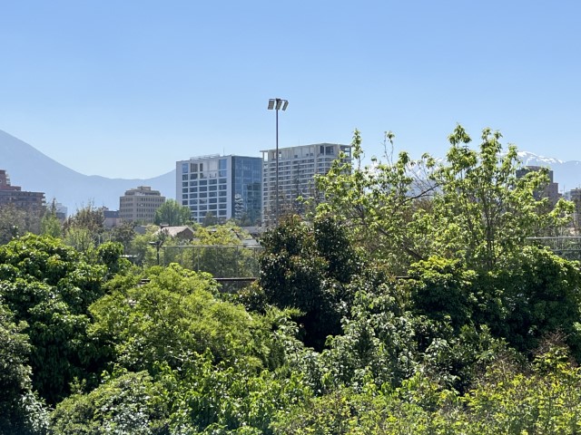 MArtin de Zamora N° 3964 (7)