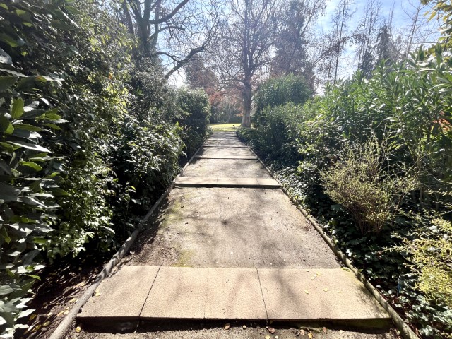 San Damian 600 depto 33 (8)